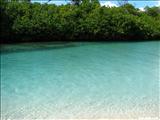 Punta Ballena - GUÁNICA